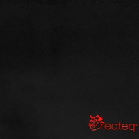 Recteq_Deck_Mat2