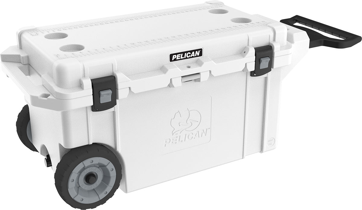 Pelican | 80QT | White