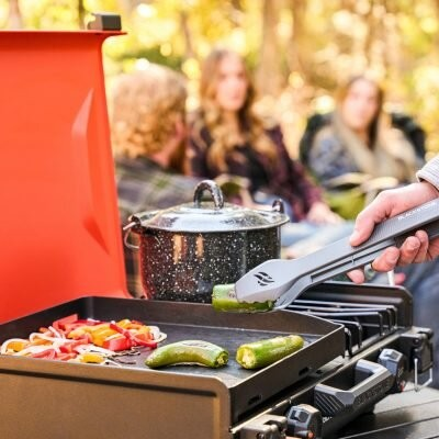 Blackstone 14Inch OTG Cooking