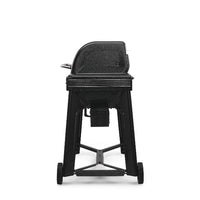 Traeger Woodridge