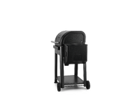 Traeger westwood pellet grill